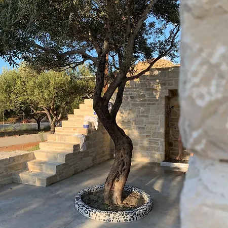 Apartament The Olive House Agia Galini