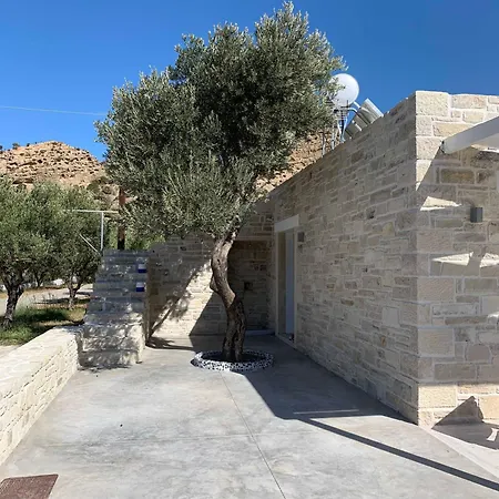 Apartament The Olive House *