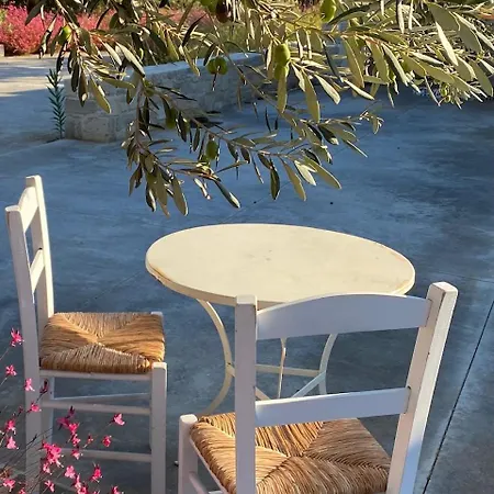 The Olive House Apartament *