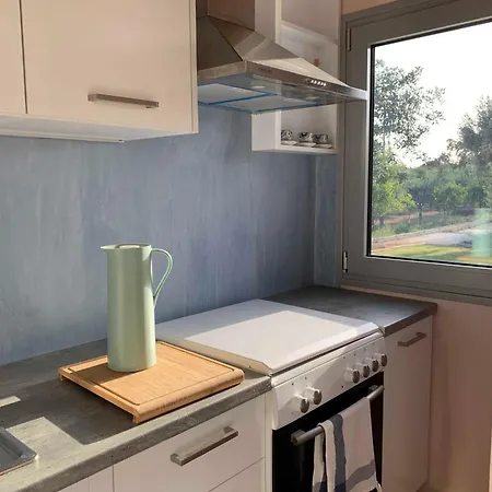 The Olive House Apartament *