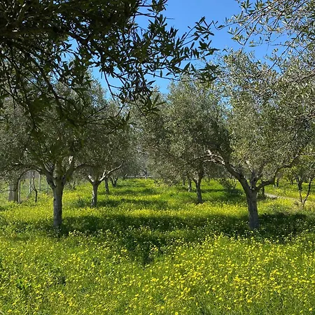 The Olive House Agia Galini