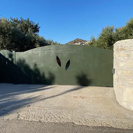 The Olive House