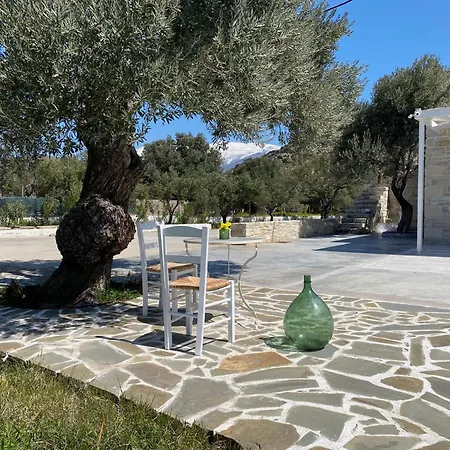 Apartament The Olive House *