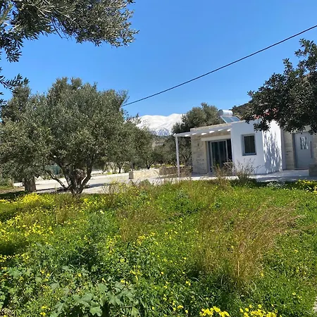 The Olive House Apartament